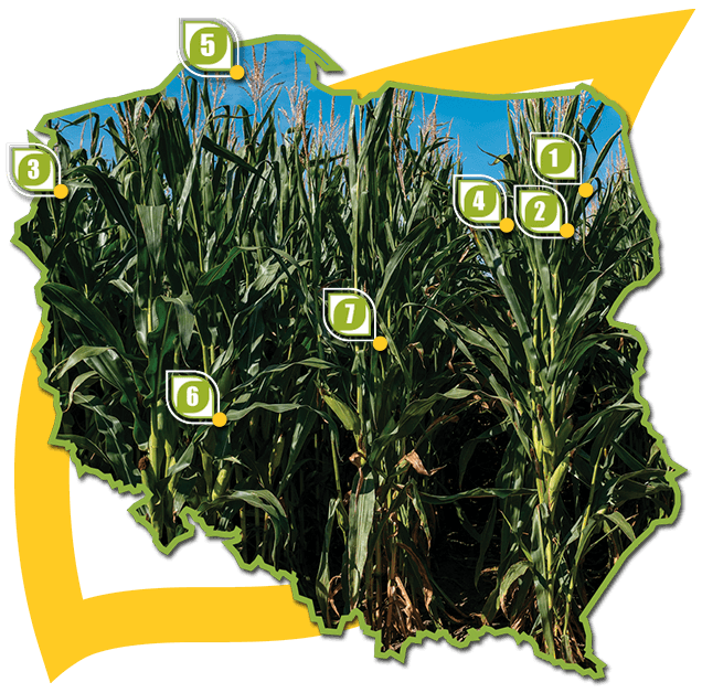 Syngenta
